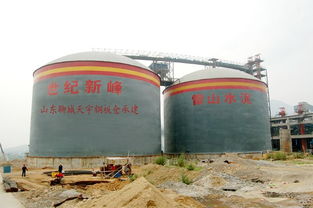 2X5万吨湖北世纪新峰 集团 5万吨水泥库2座 已使用 焊接仓 ...